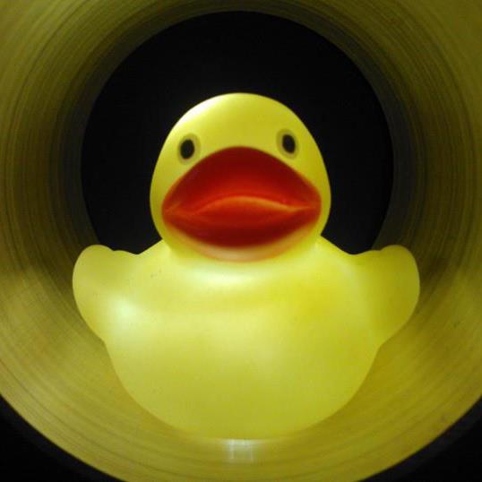 Ente